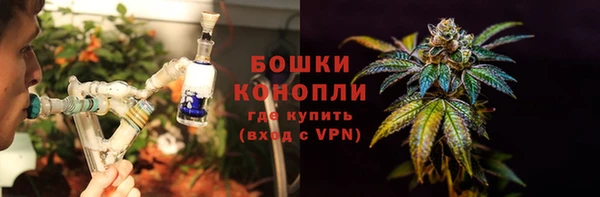 ГАЛЛЮЦИНОГЕННЫЕ ГРИБЫ Волосово