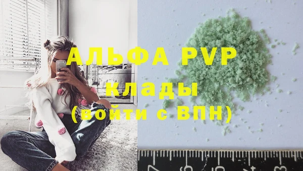 ГАЛЛЮЦИНОГЕННЫЕ ГРИБЫ Волосово