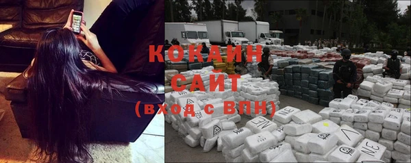 ГАЛЛЮЦИНОГЕННЫЕ ГРИБЫ Волосово