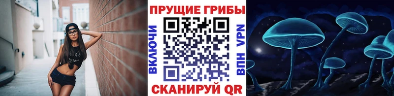 Псилоцибиновые грибы Psilocybe  Купить закладки  Коркино 